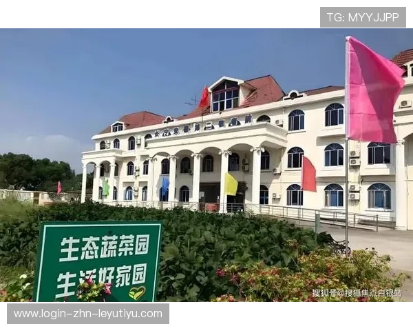 体育经纪人的入行门槛：2026年考证与实习指南，体育经纪人考试内容