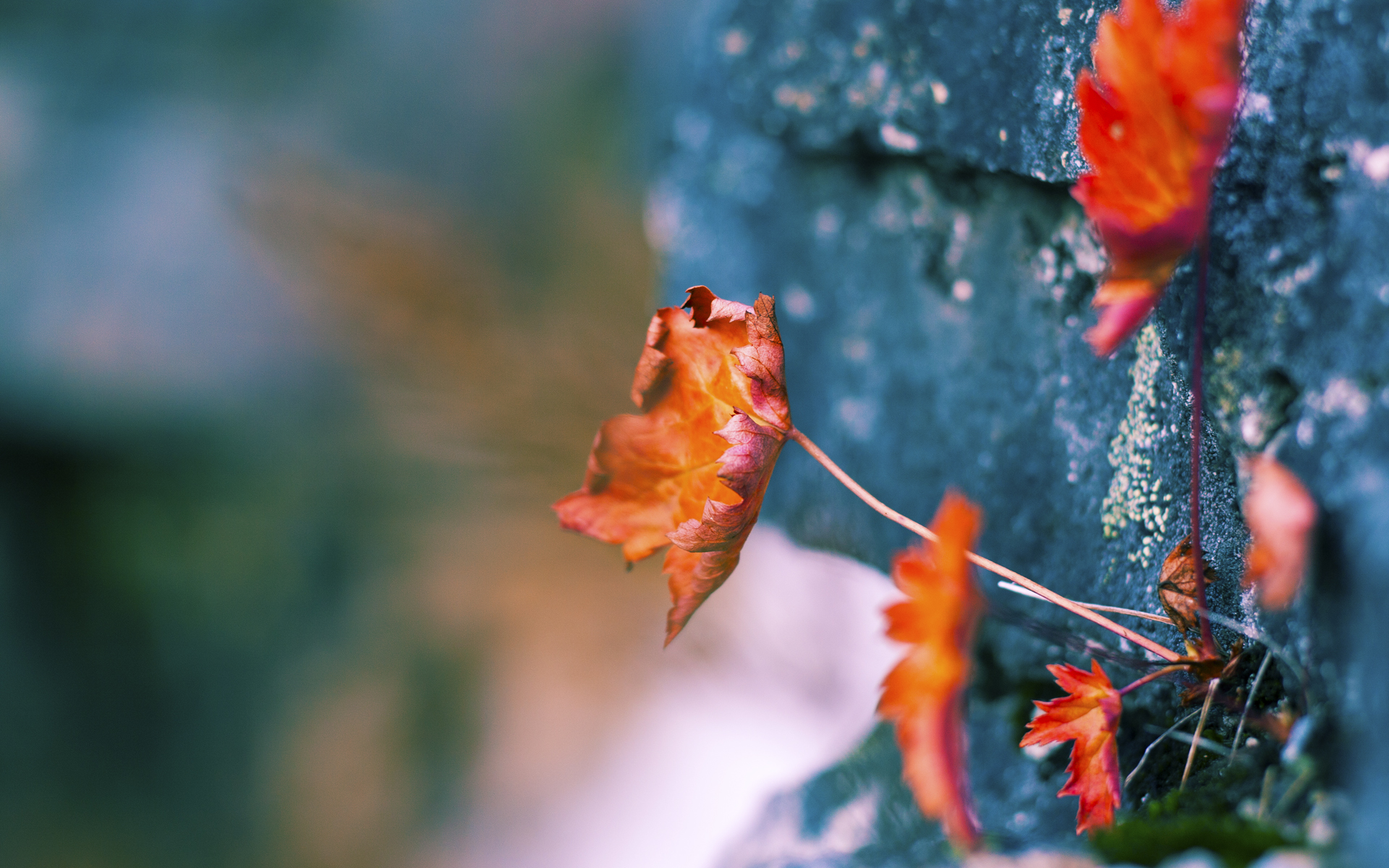 乐鱼体育平台登录-中国篮球整体风格趋向现代化快节奏成新趋势，中国篮球体系
