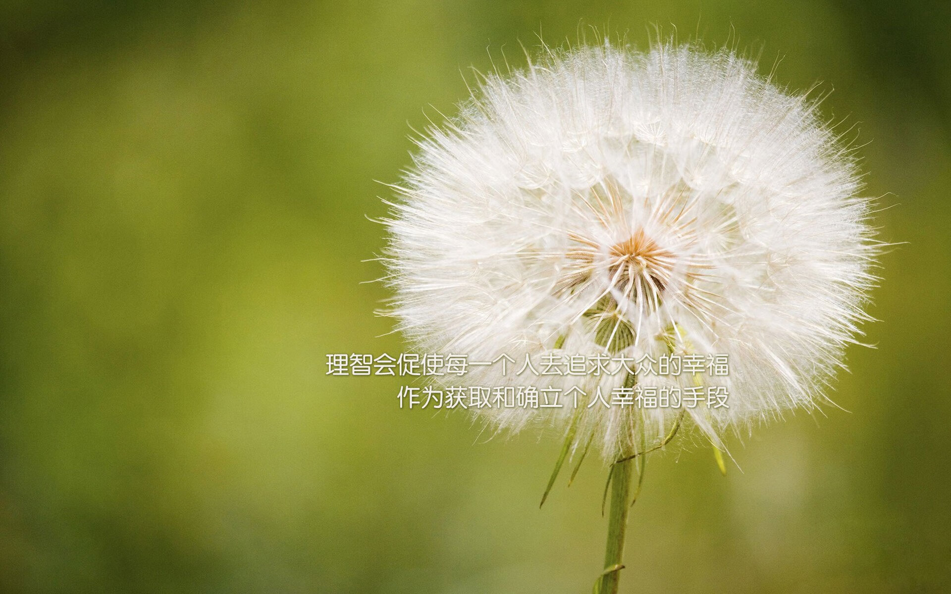 五大联赛逆风局中关键替补贡献数据分析，五大联赛最大比分逆转