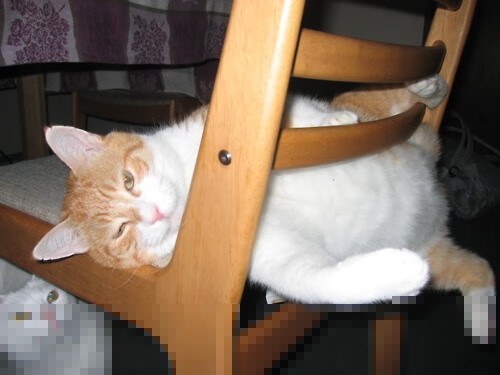 俱乐部加强青训体系建设,足球青训俱乐部管理制度