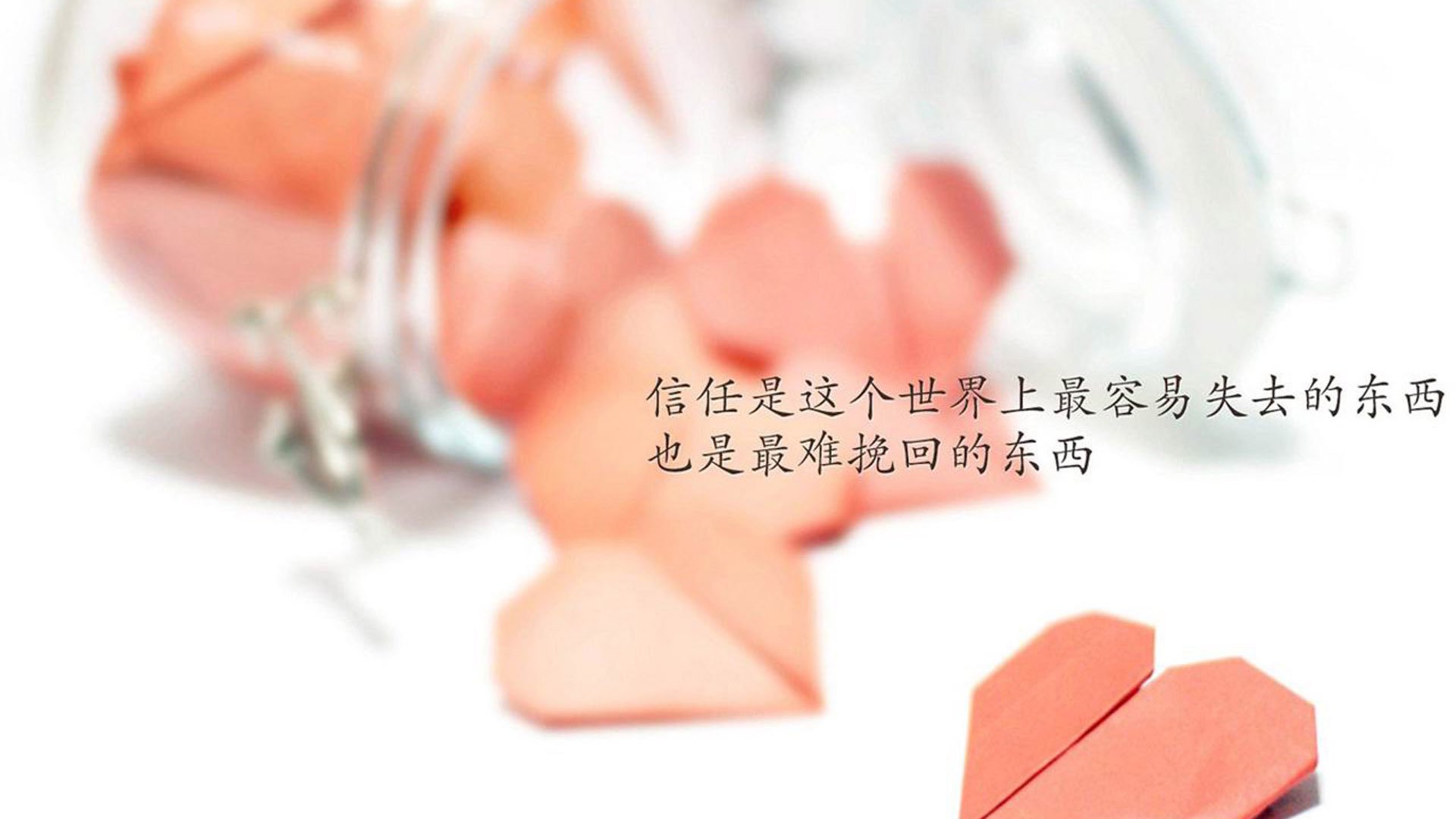 山西龙狮外援与本土球员形成良好化学反应,龙狮球队