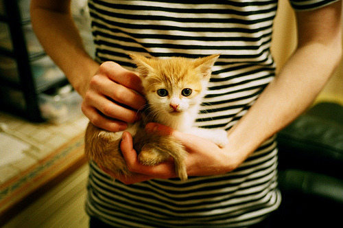 曼联加强边中结合构建立体攻击体系