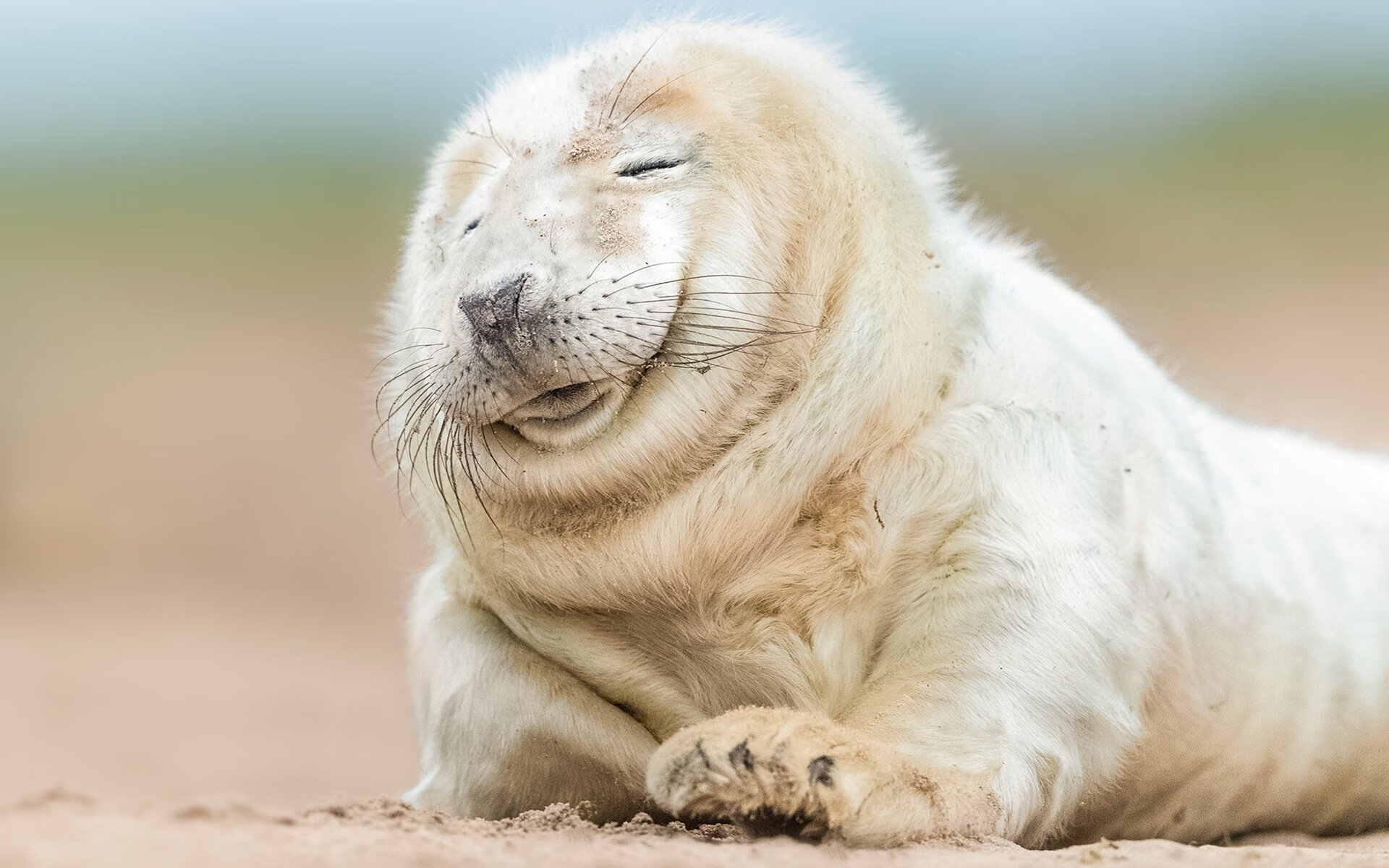 男子100自选手配速策略大比拼,男子100米pb排名