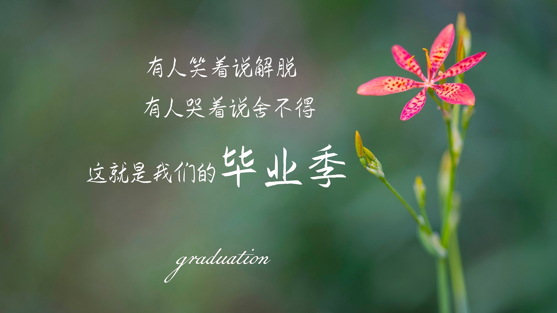 乐鱼体育网页登录-乔·波尔曼的精准传球和高效突破，为袋鼠队创造了更多进攻机会